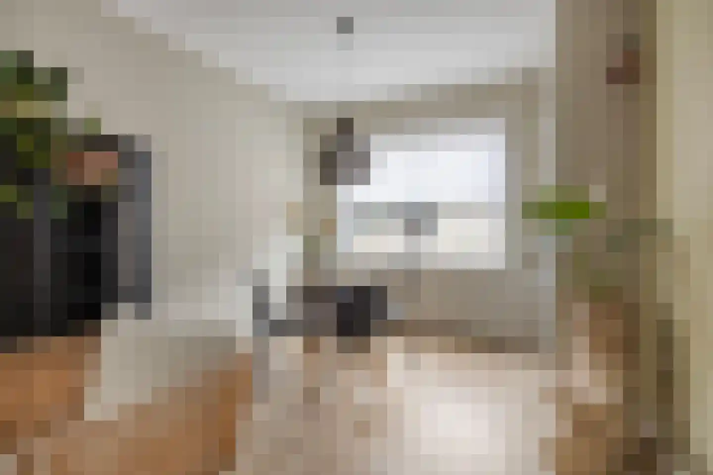 Julianastraat 8 Heikant thumbnail 10