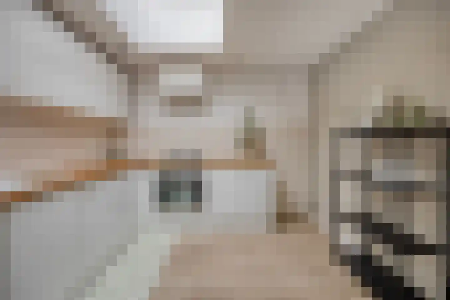 Julianastraat 8 Heikant thumbnail 13
