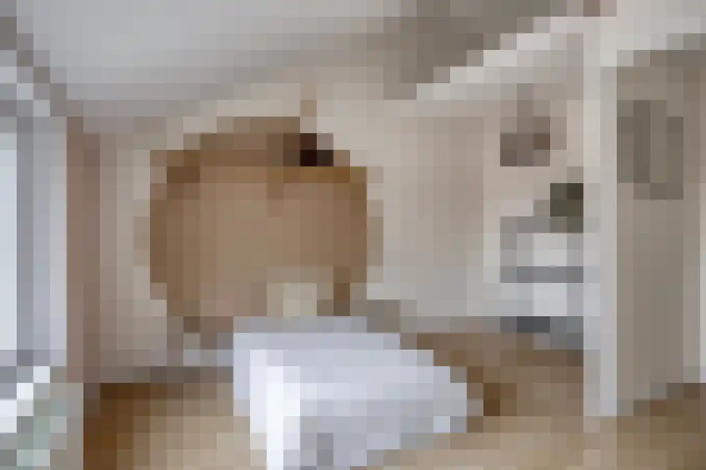 Julianastraat 8 Heikant thumbnail 14