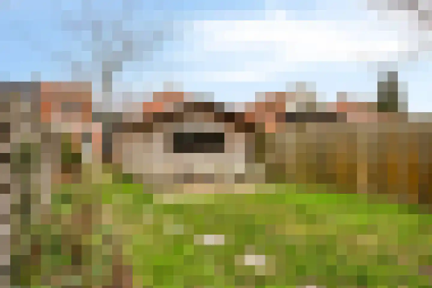 Julianastraat 8 Heikant thumbnail 24
