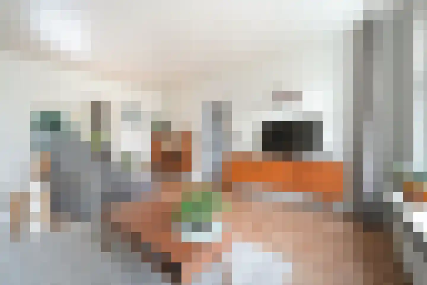 Julianastraat 8 Oost-Souburg thumbnail 12