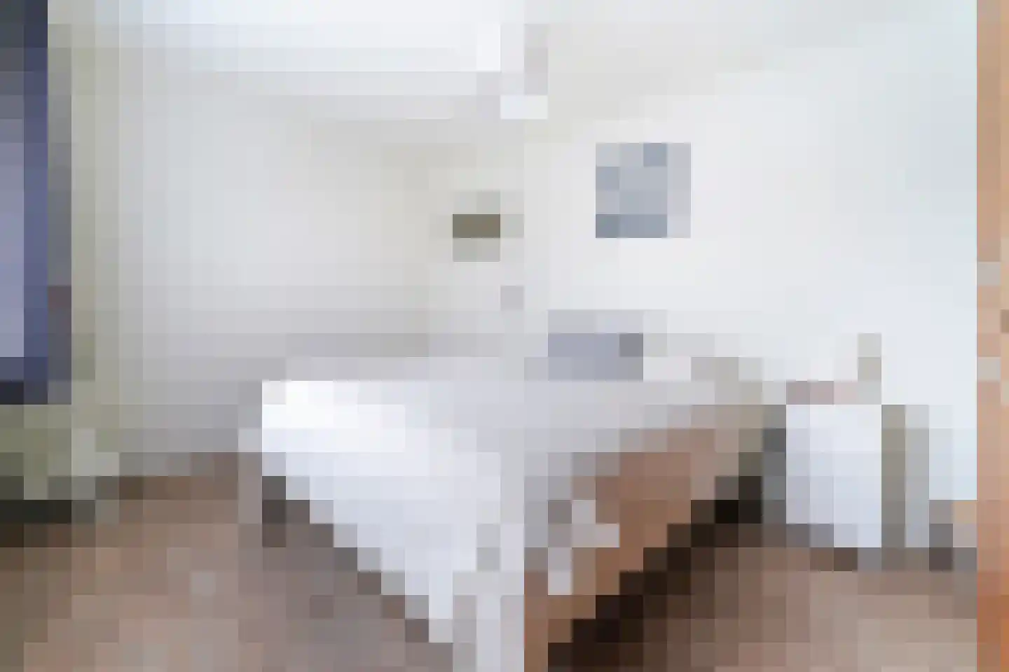 Julianastraat 8 Oost-Souburg thumbnail 20