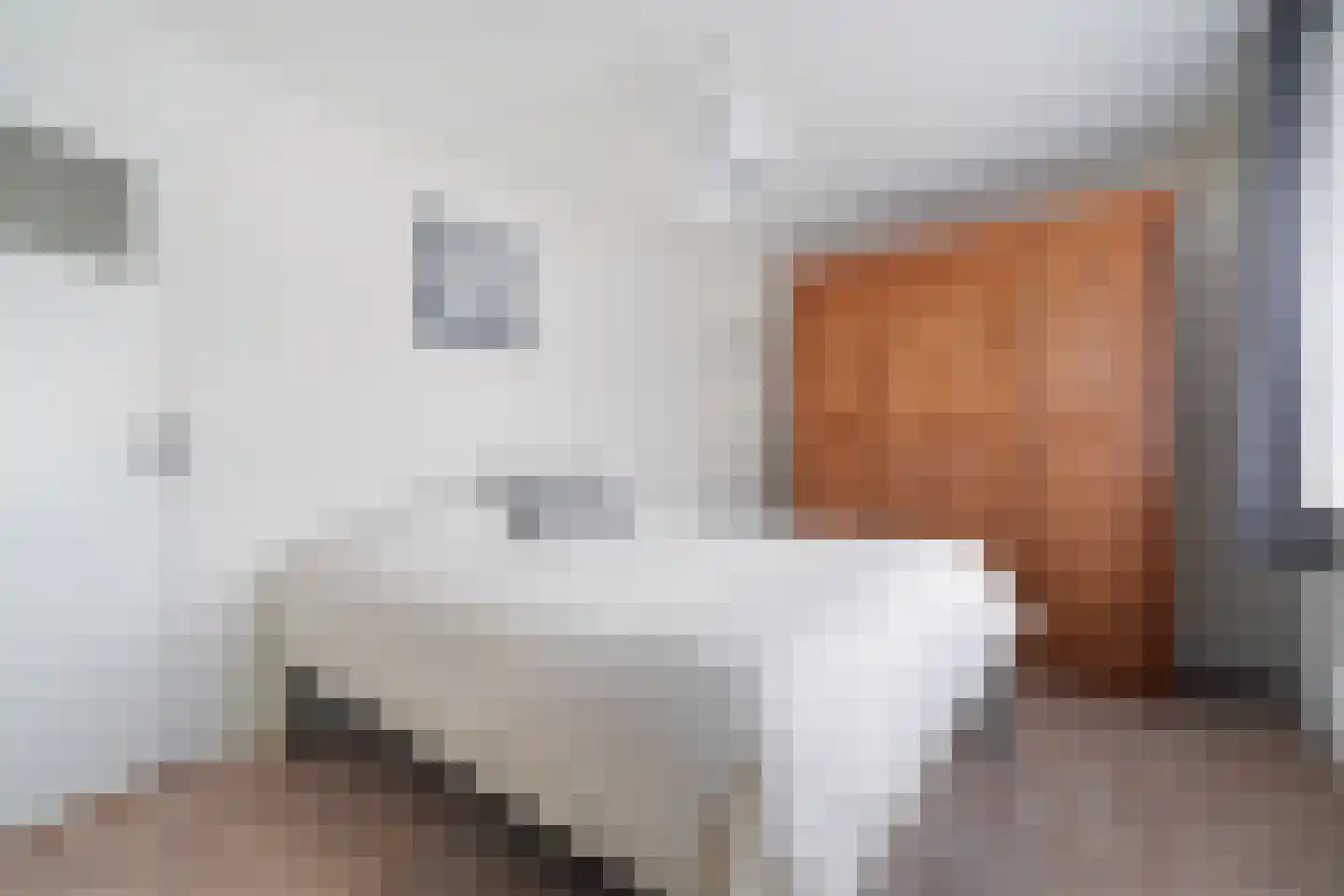 Julianastraat 8 Oost-Souburg thumbnail 22