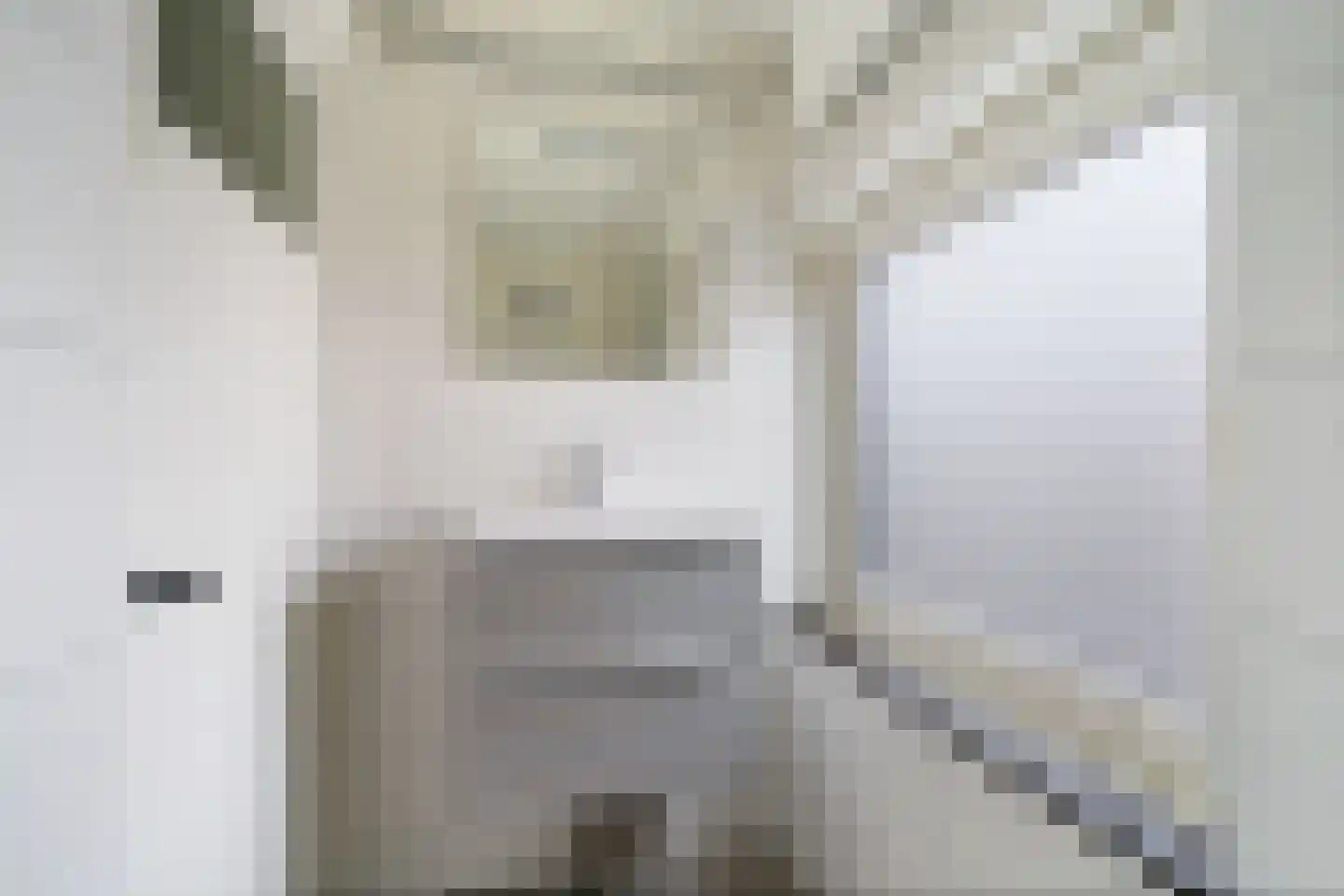 Julianastraat 8 Oost-Souburg thumbnail 25