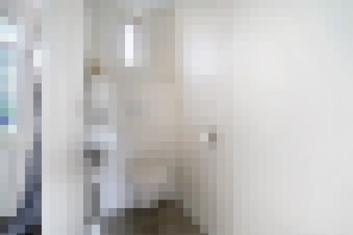 Julianastraat 8 Oost-Souburg thumbnail 6