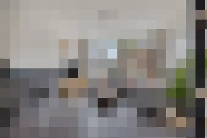 Julianastraat 8 Riel thumbnail 15