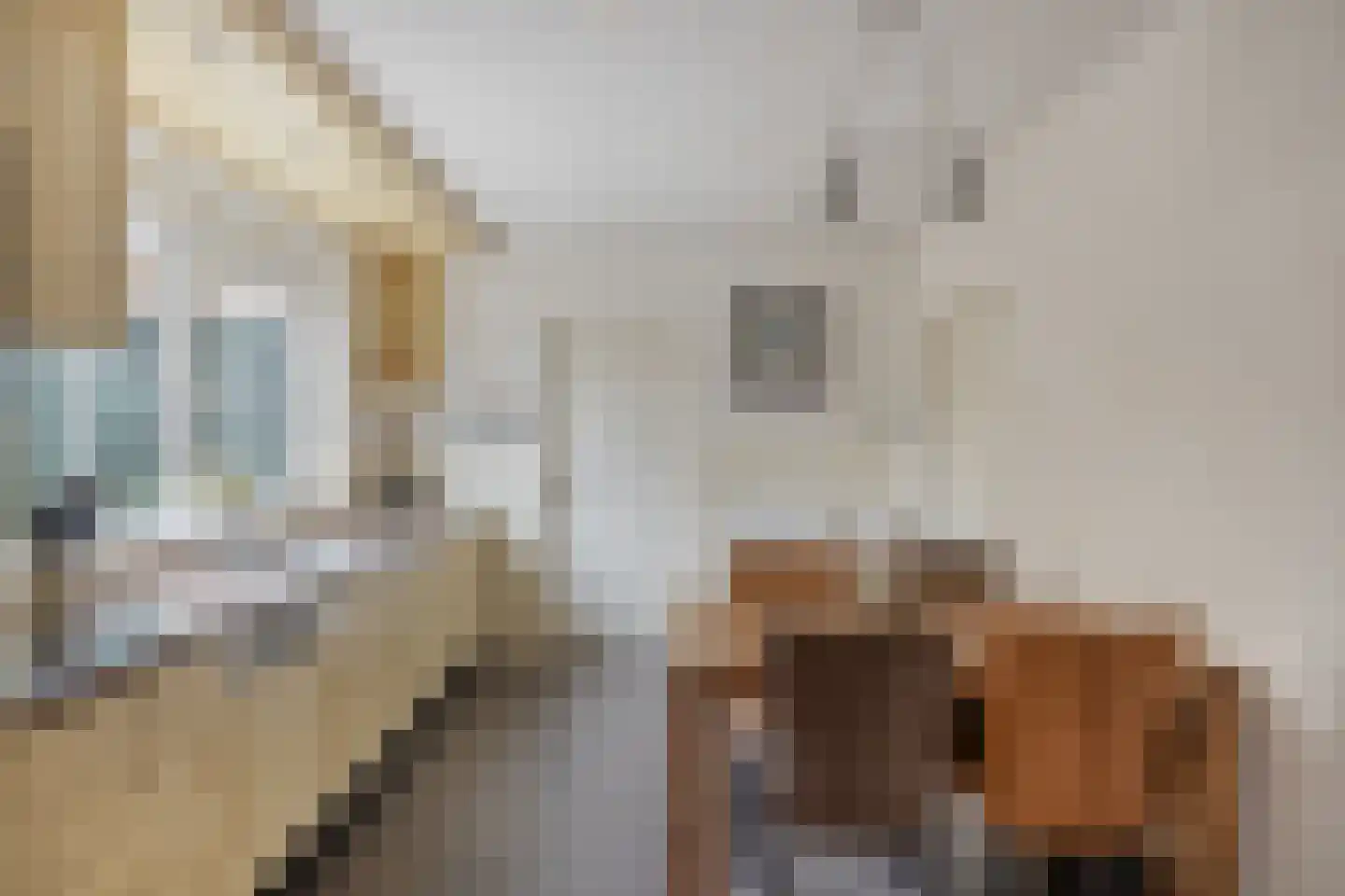 Julianastraat 8 Riel thumbnail 21
