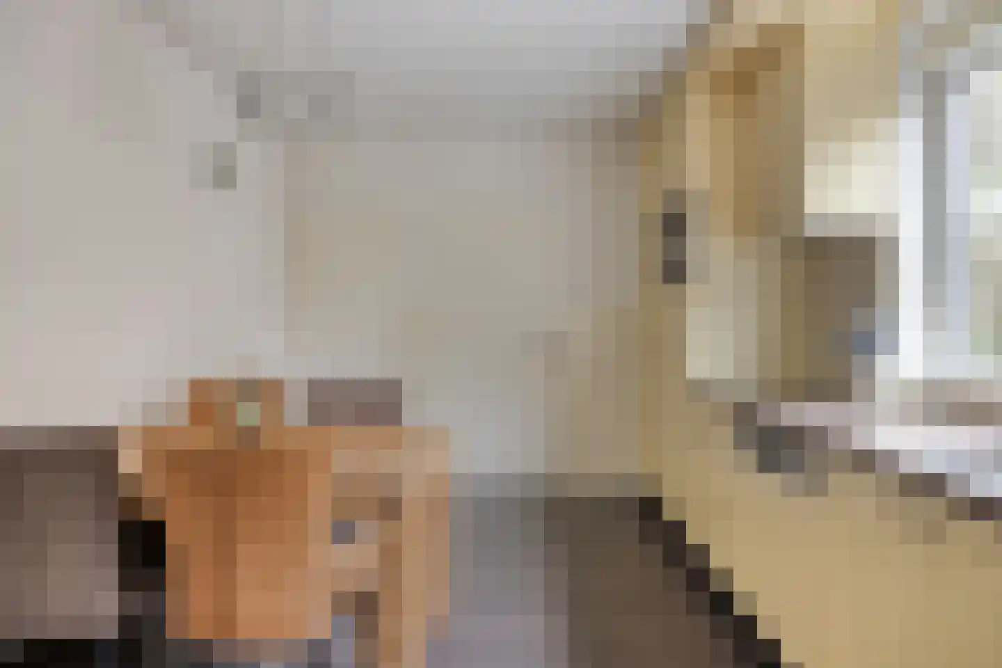 Julianastraat 8 Riel thumbnail 22