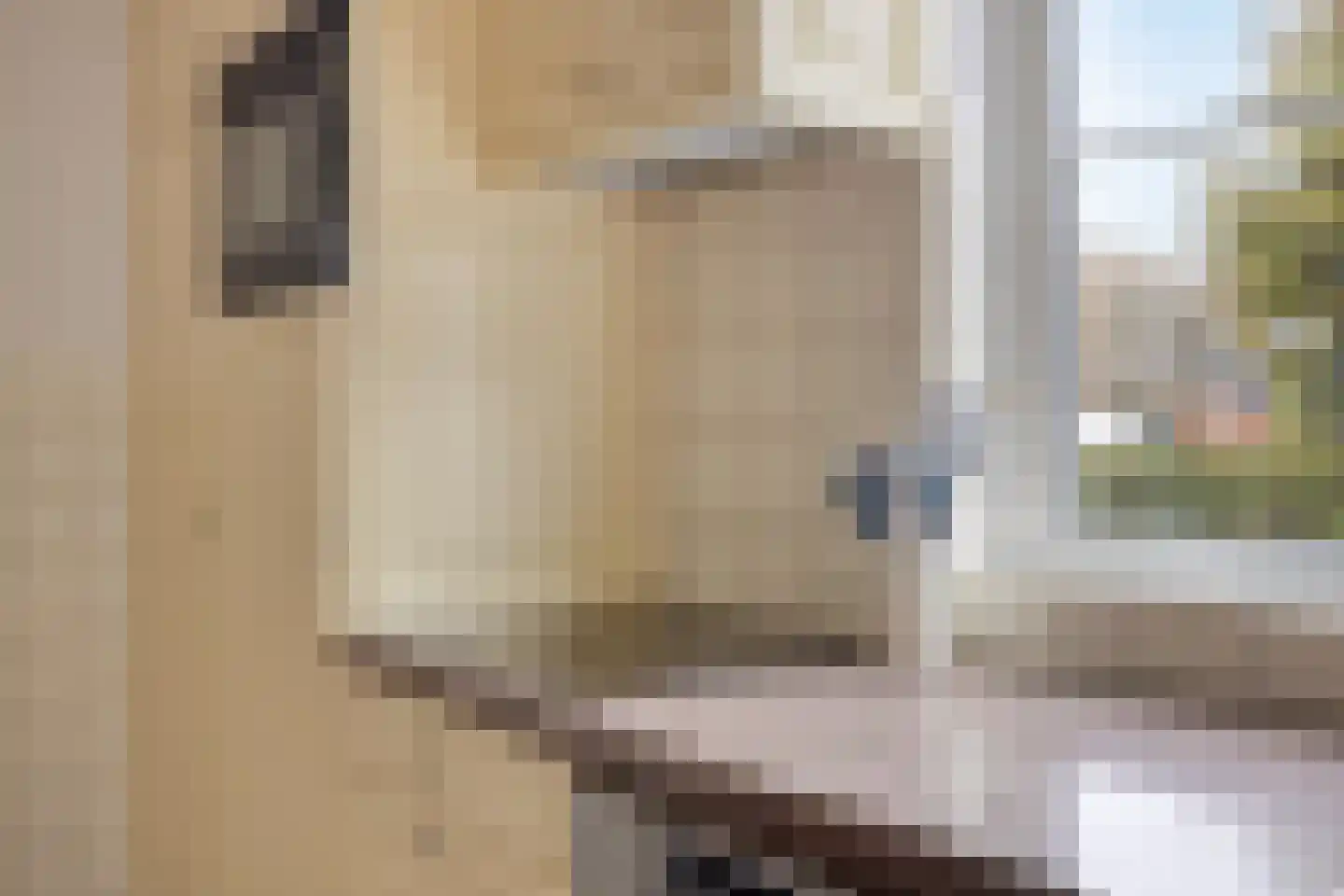 Julianastraat 8 Riel thumbnail 24