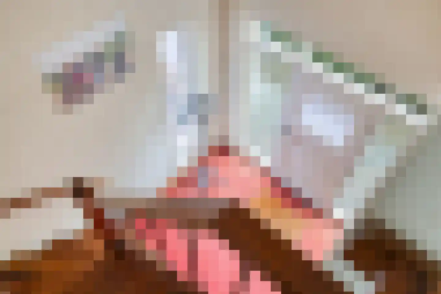 Julianastraat 8 Riel thumbnail 25