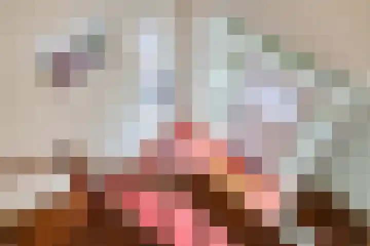 Julianastraat 8 Riel thumbnail 25