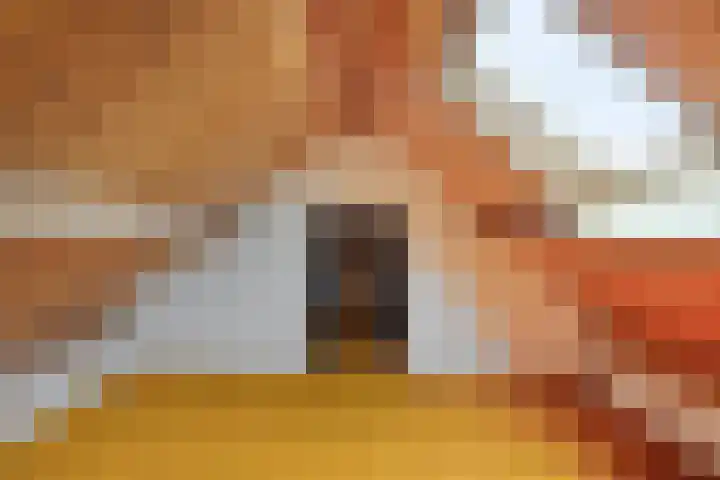 Julianastraat 8 Riel thumbnail 42