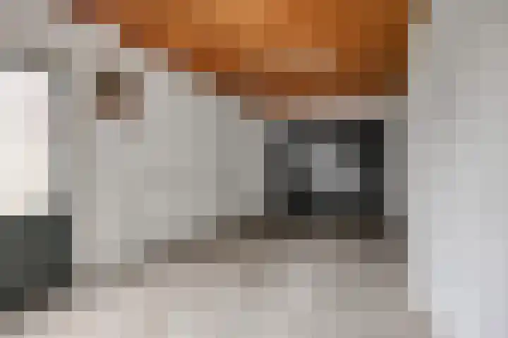 Julianastraat 8 Riel thumbnail 44