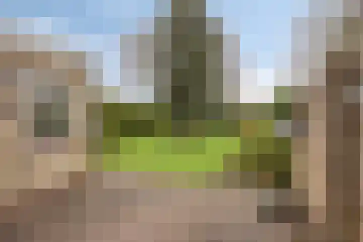 Julianastraat 8 Riel thumbnail 45