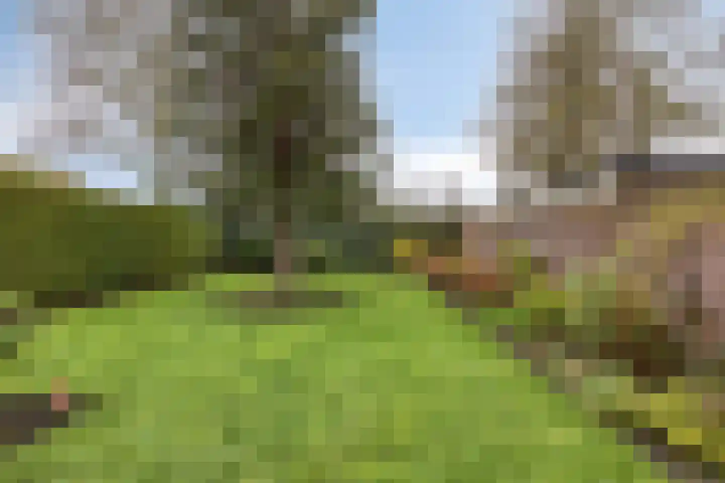 Julianastraat 8 Riel thumbnail 46