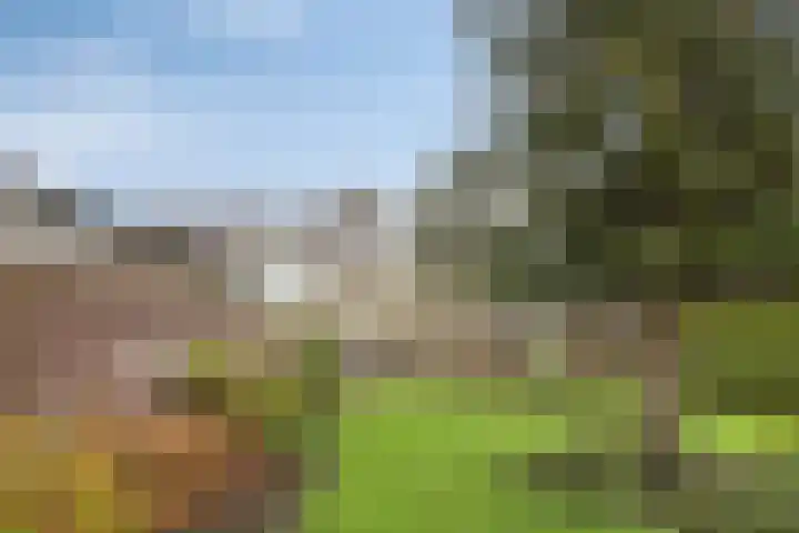 Julianastraat 8 Riel thumbnail 48
