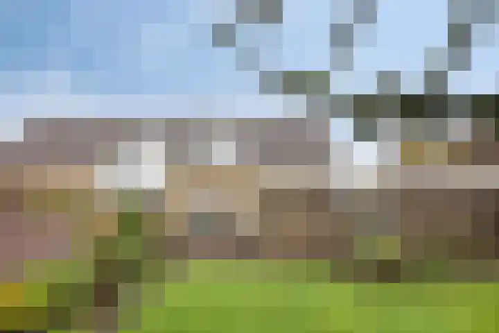 Julianastraat 8 Riel thumbnail 49