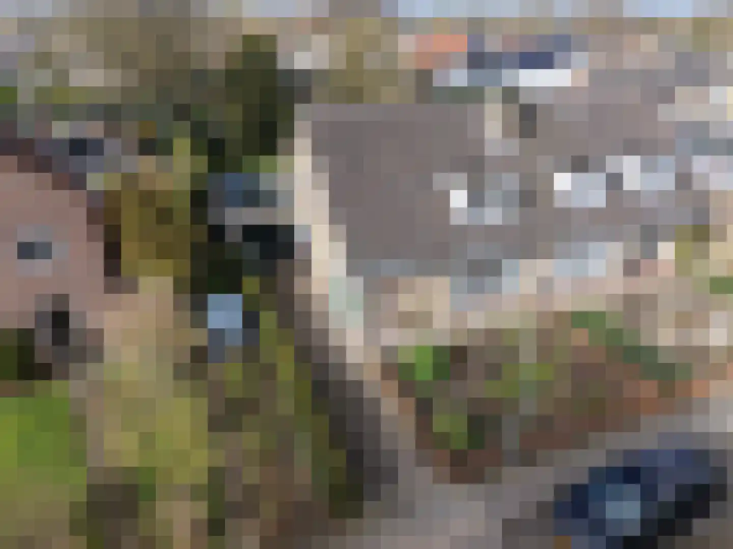 Julianastraat 8 Riel thumbnail 50