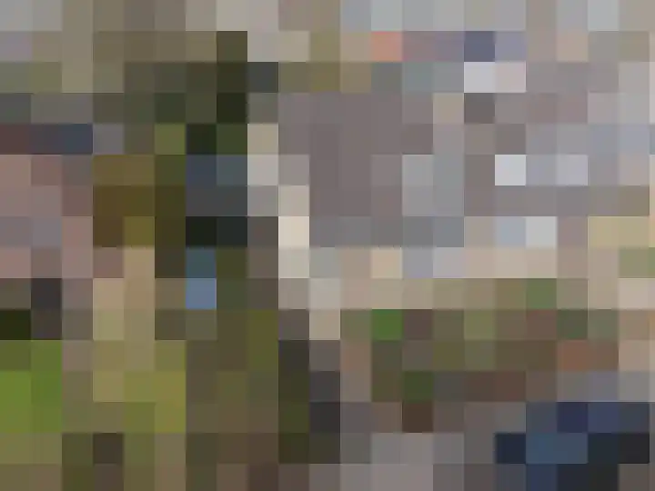 Julianastraat 8 Riel thumbnail 50