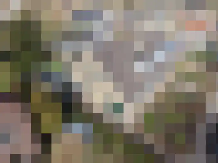 Julianastraat 8 Riel thumbnail 51