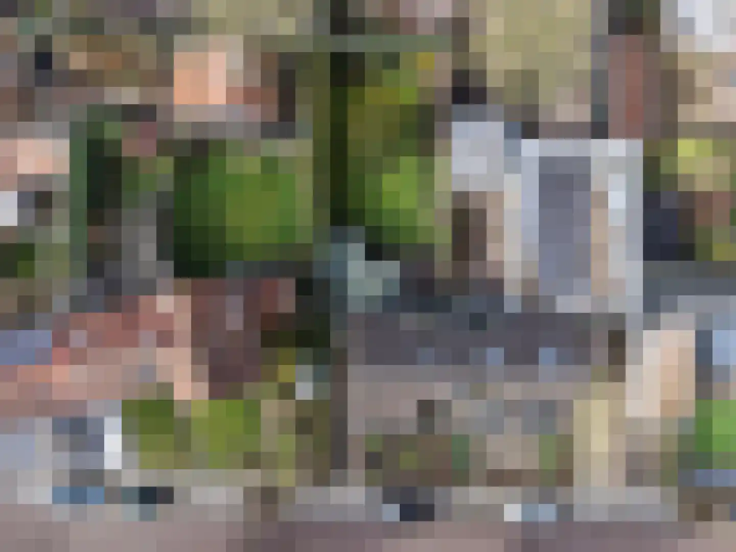 Julianastraat 8 Riel thumbnail 53