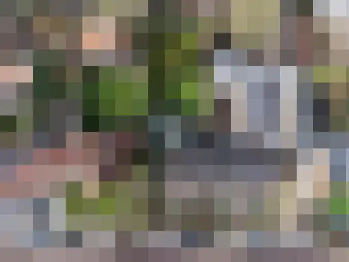 Julianastraat 8 Riel thumbnail 53