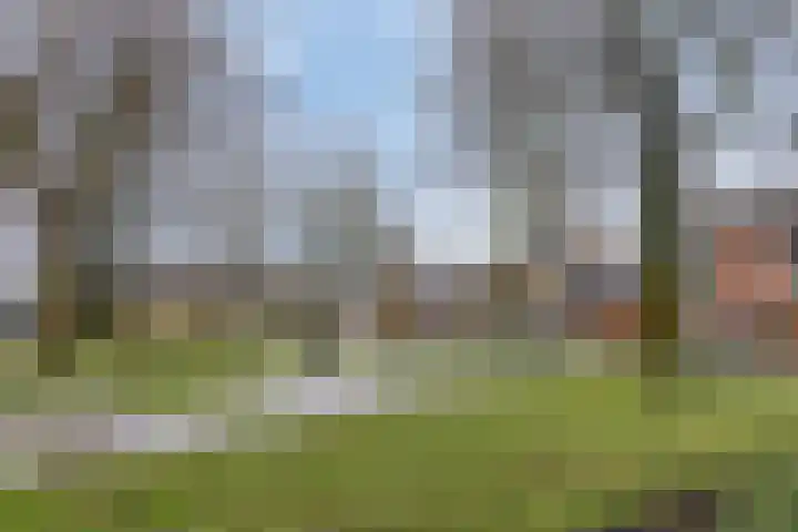 Julianastraat 8 Riel thumbnail 57