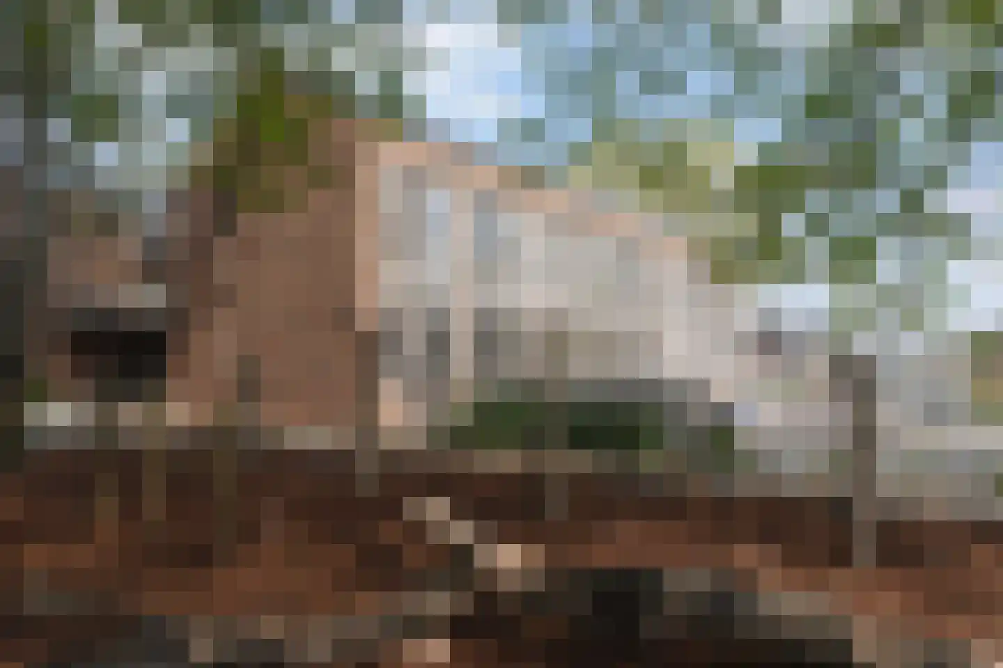 Julianastraat 8 Riel thumbnail 58