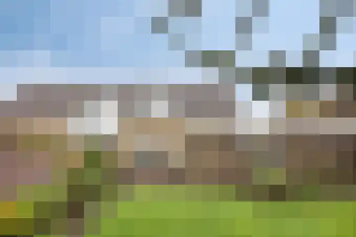 Julianastraat 8 Riel thumbnail 8