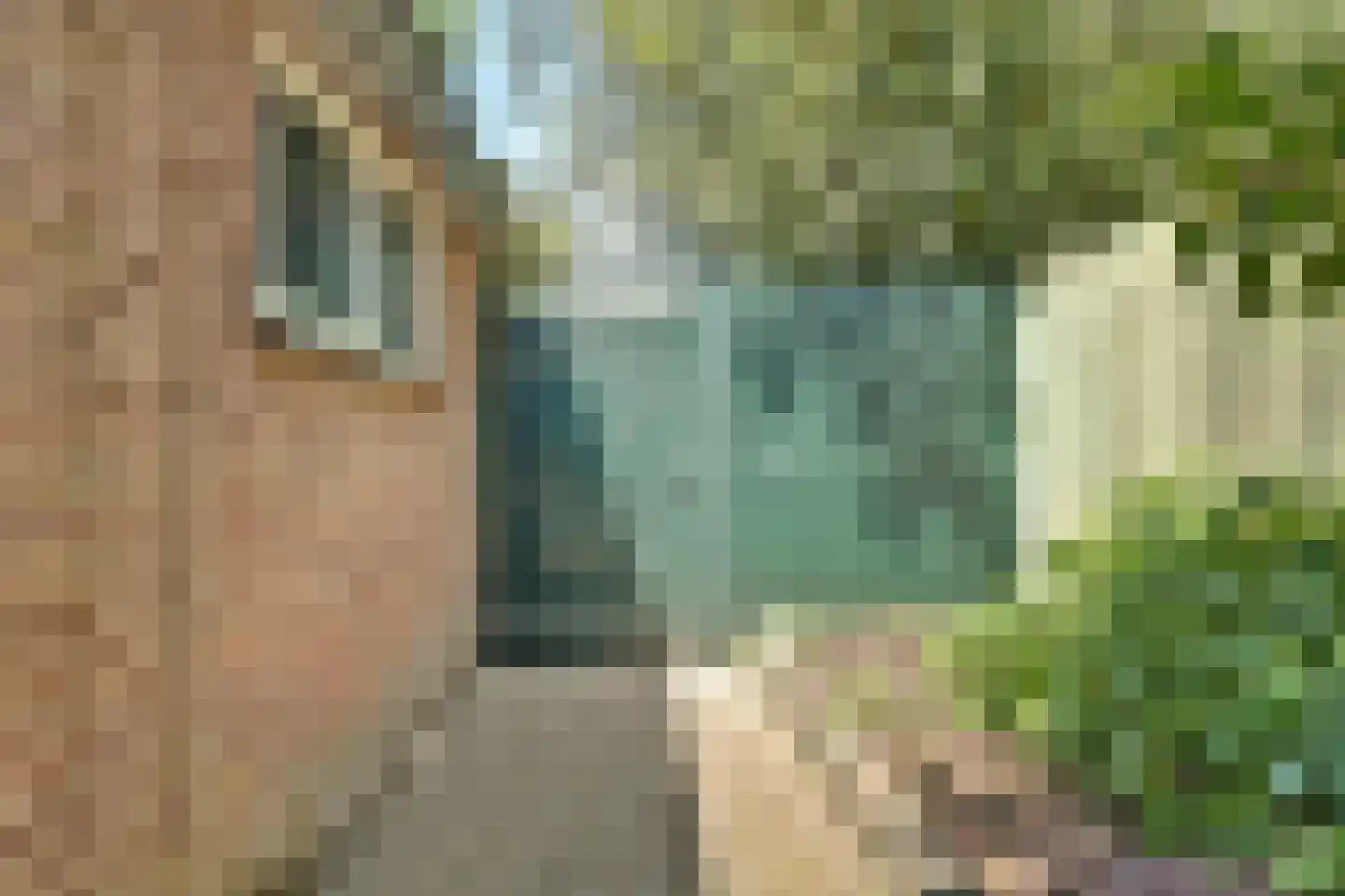 Julianastraat 8 Rozenburg thumbnail 19