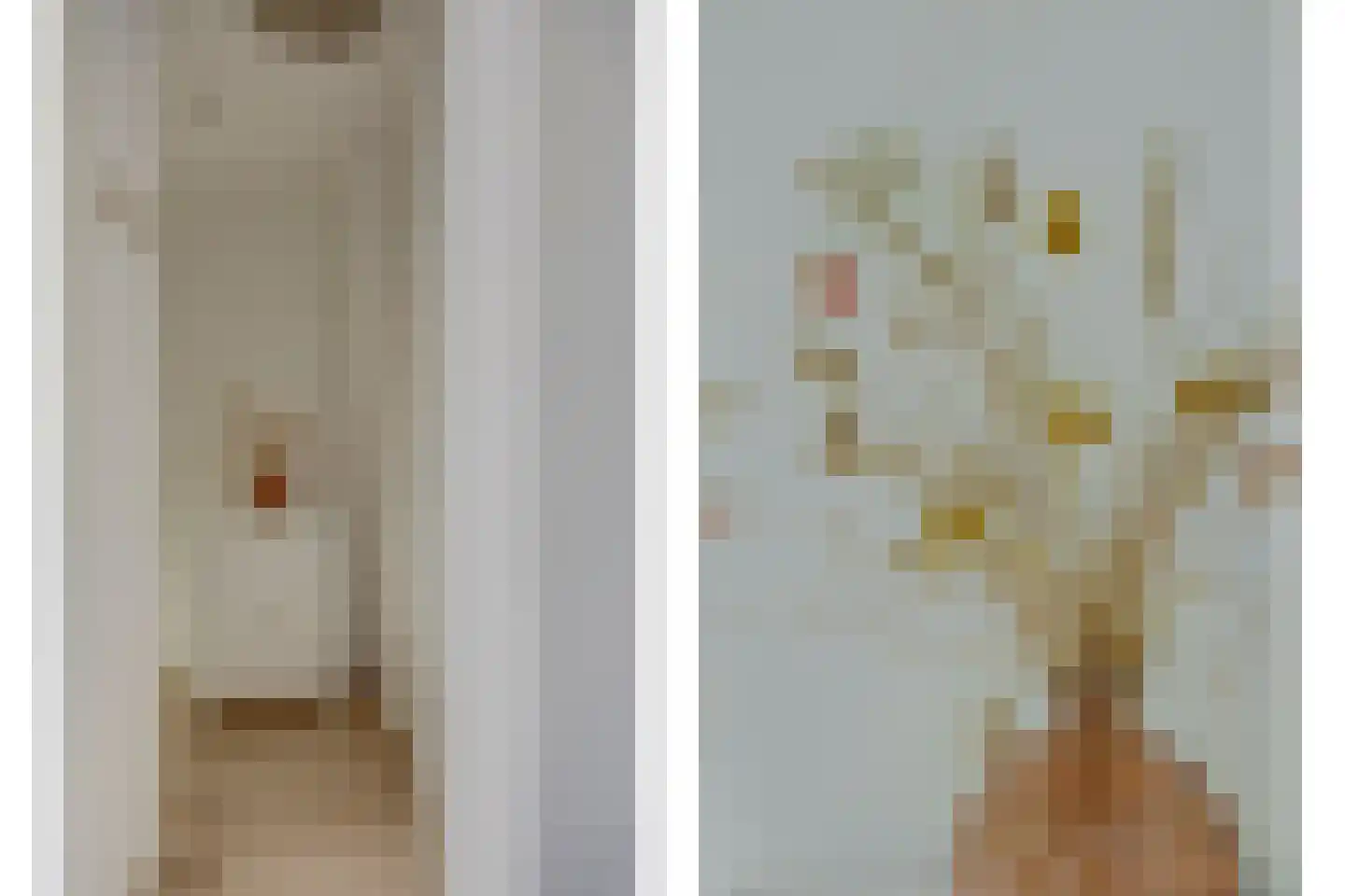 Julianastraat 8 Rozenburg thumbnail 21