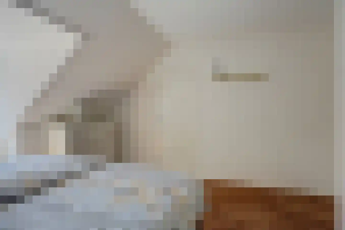 Julianastraat 8 Rozenburg thumbnail 23
