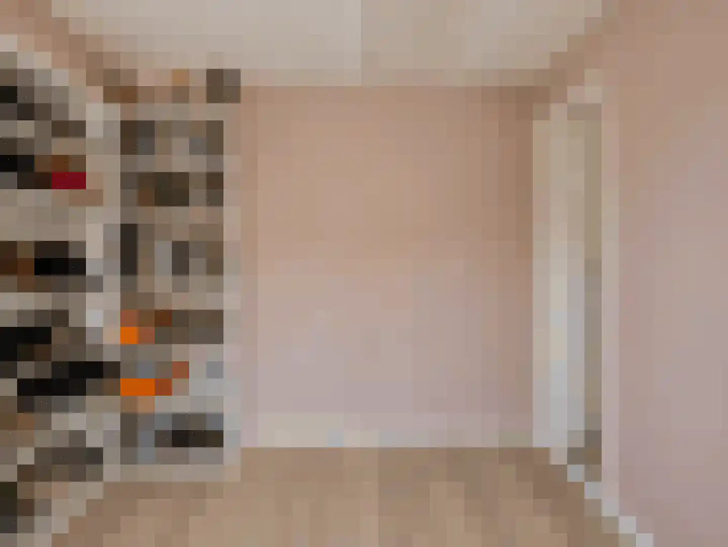 Julianastraat 8 Rozenburg thumbnail 26