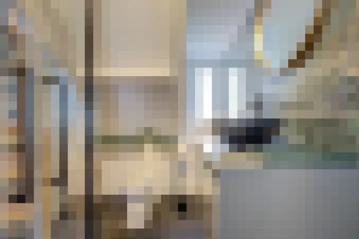 Julianastraat 8 Rozenburg thumbnail 4