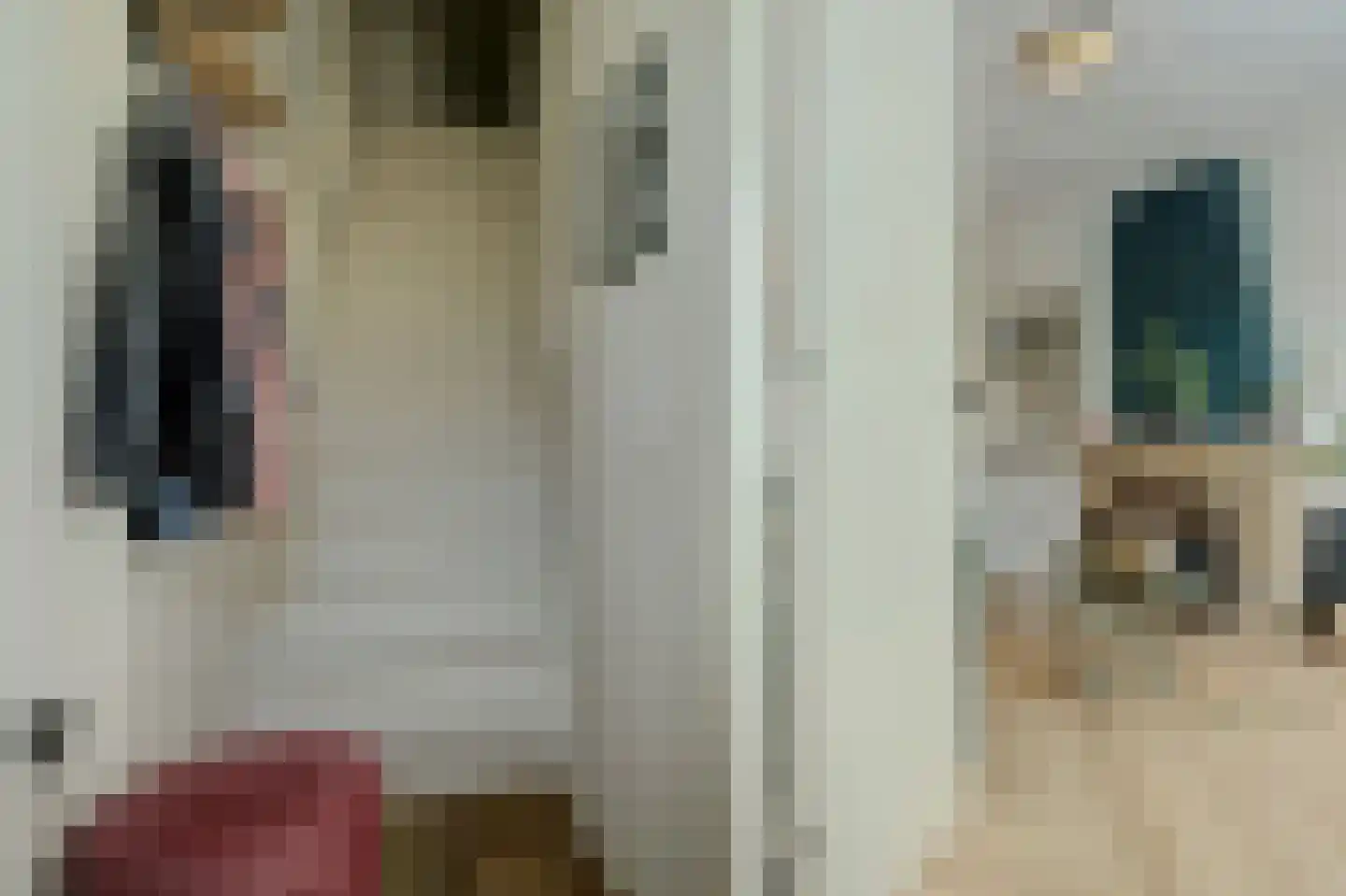 Julianastraat 8 Rozenburg thumbnail 7