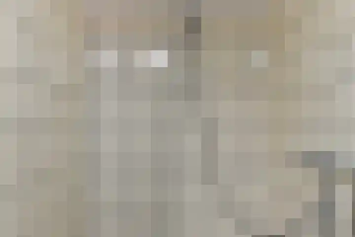 Julianastraat 8 Steenwijk thumbnail 20
