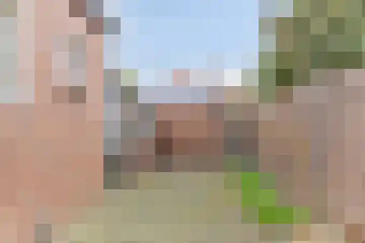 Julianastraat 8 Steenwijk thumbnail 35