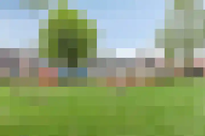 Julianastraat 8 Steenwijk thumbnail 39