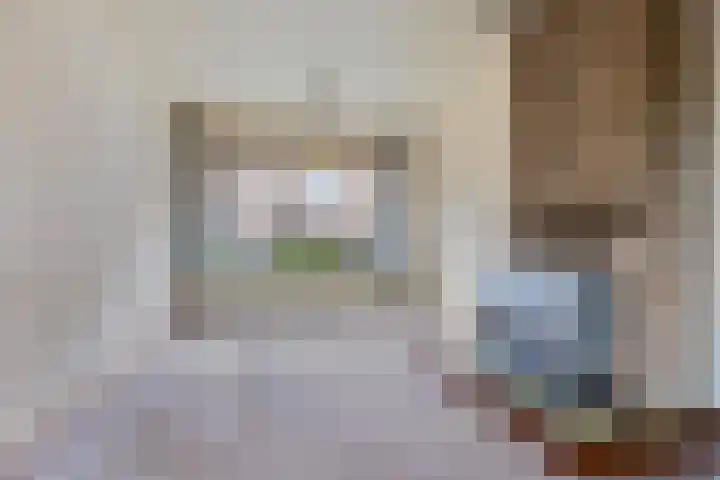 Julianastraat 8 Steenwijk thumbnail 9