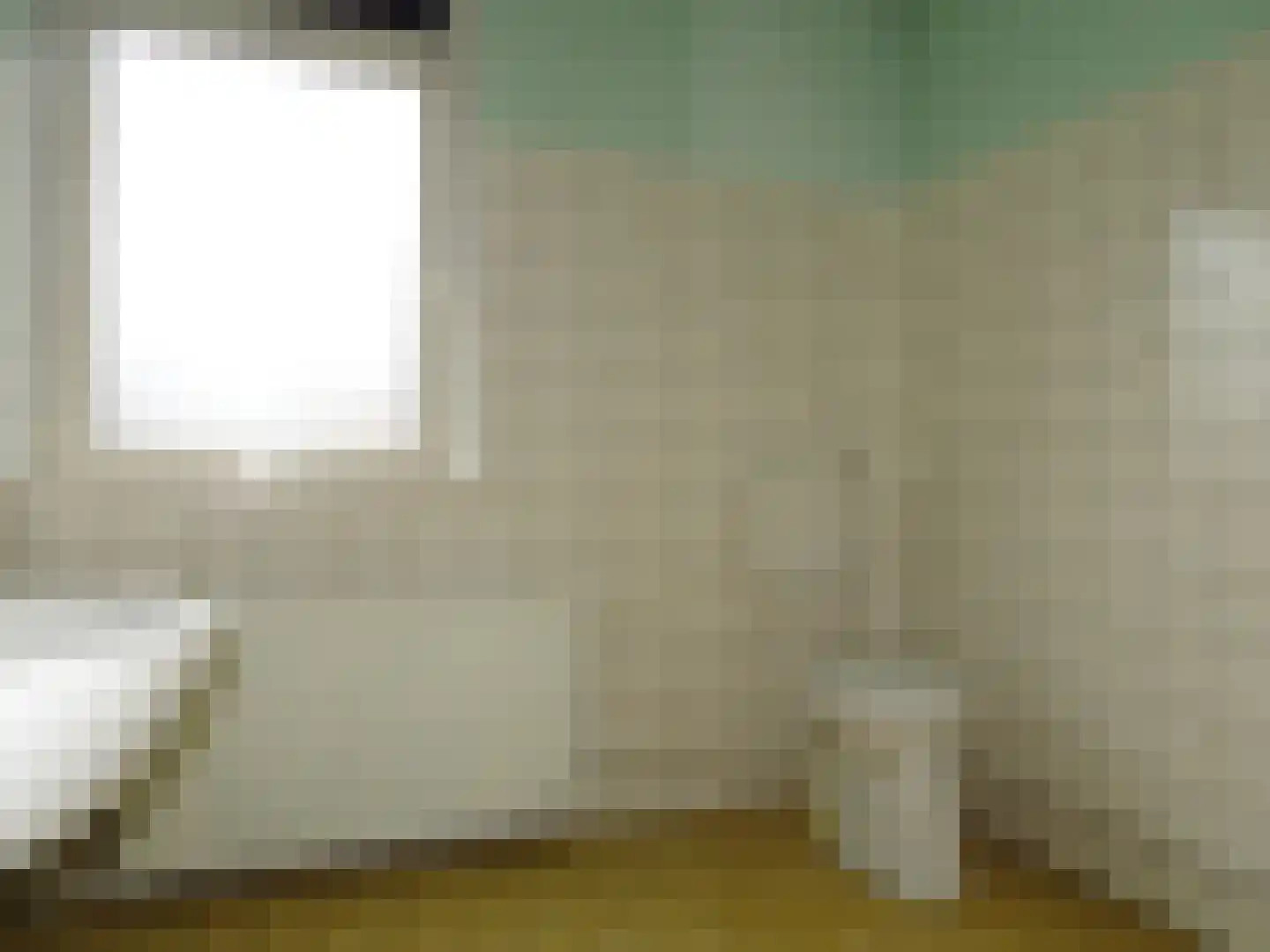 Julianastraat 8 't Zand thumbnail 4