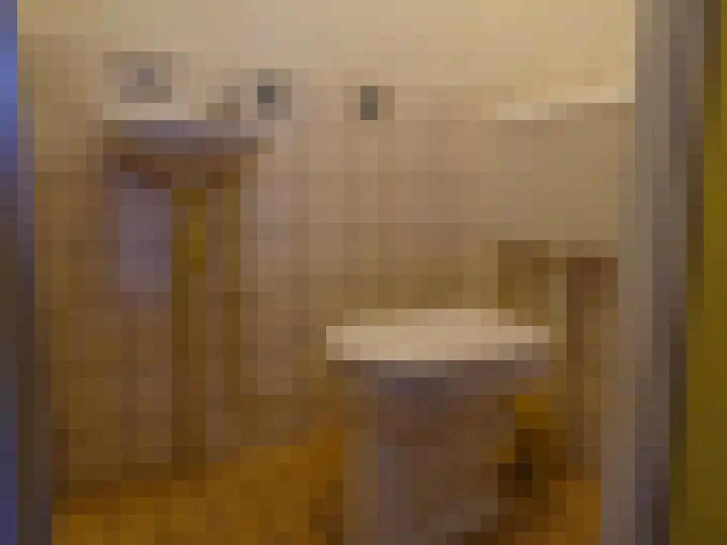 Julianastraat 8 't Zand thumbnail 8
