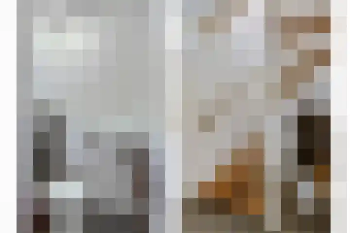 Julianastraat 8 Uden thumbnail 12