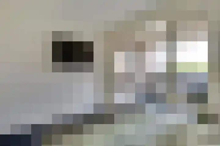 Julianastraat 8 Uden thumbnail 15