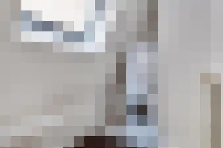 Julianastraat 8 Uden thumbnail 18