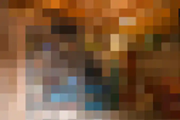 Julianastraat 8 Uden thumbnail 21