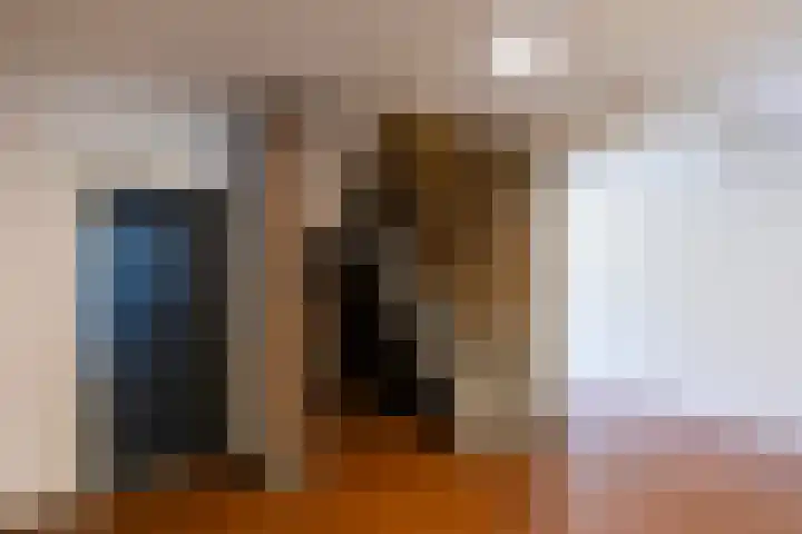 Julianastraat 8 Uden thumbnail 6