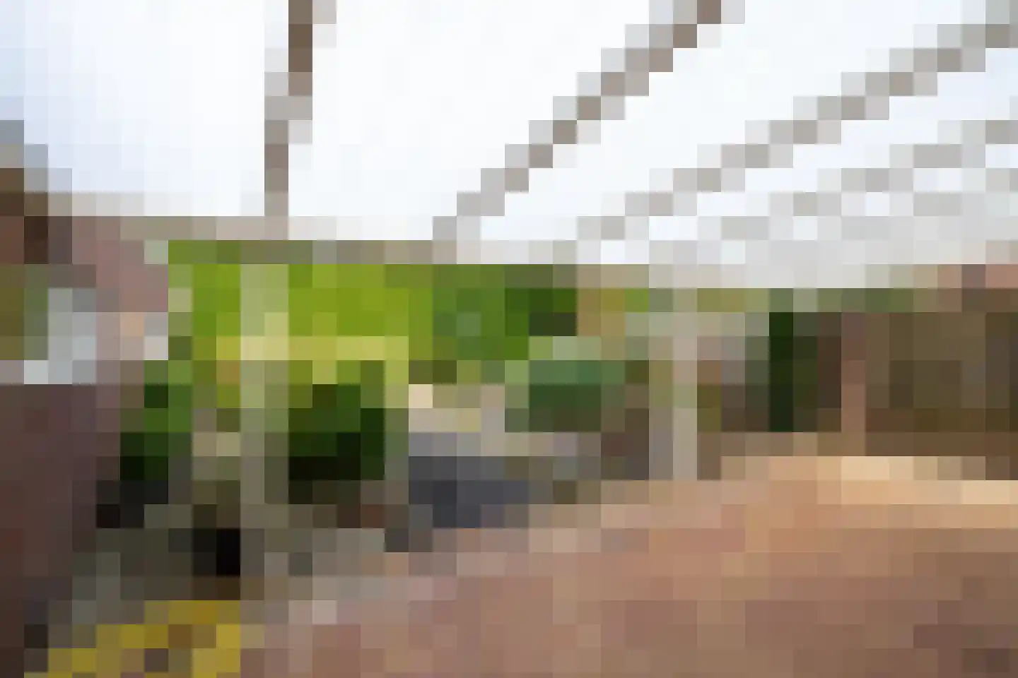 Julianastraat 8 Wehl thumbnail 22