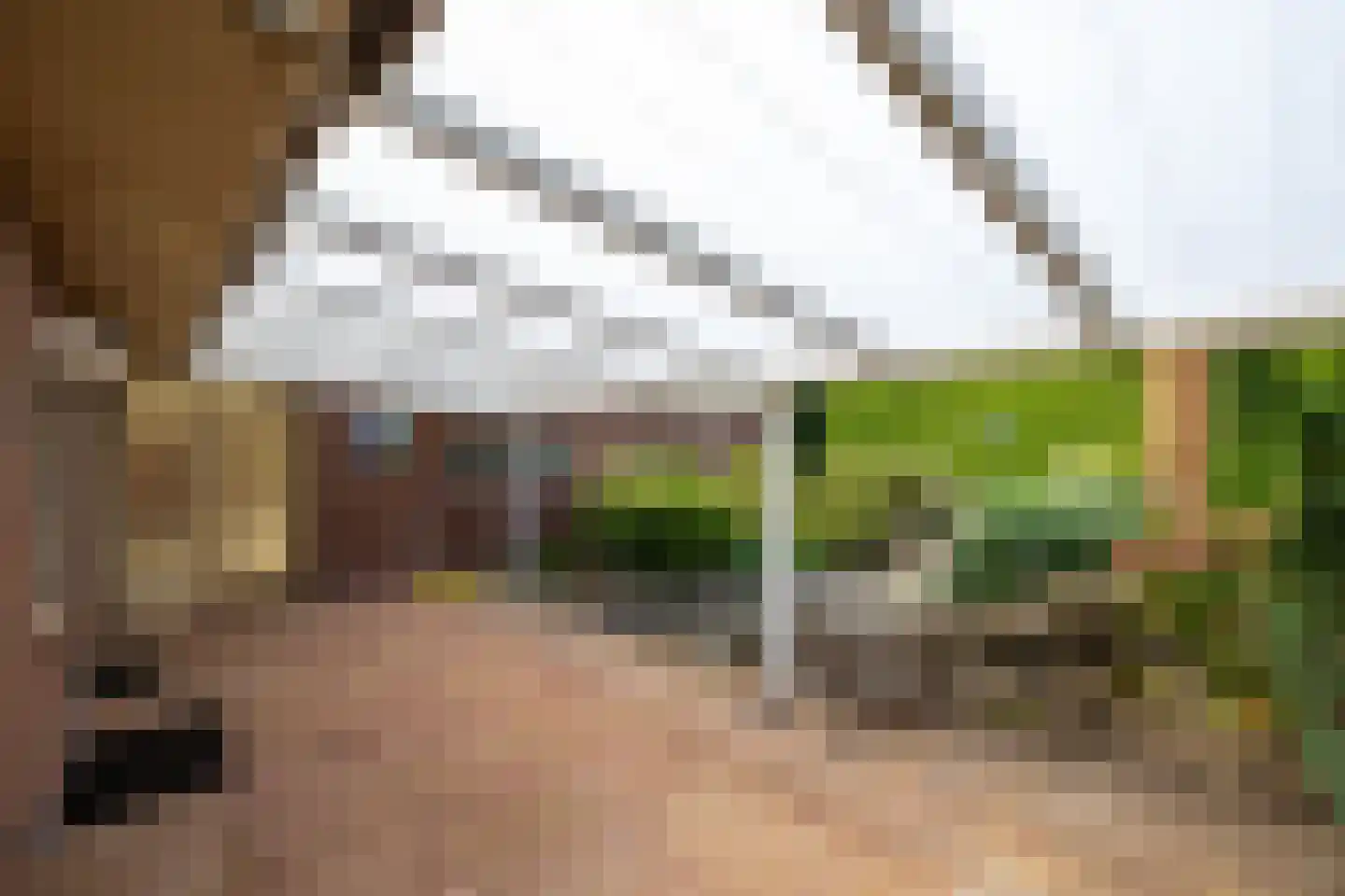 Julianastraat 8 Wehl thumbnail 23