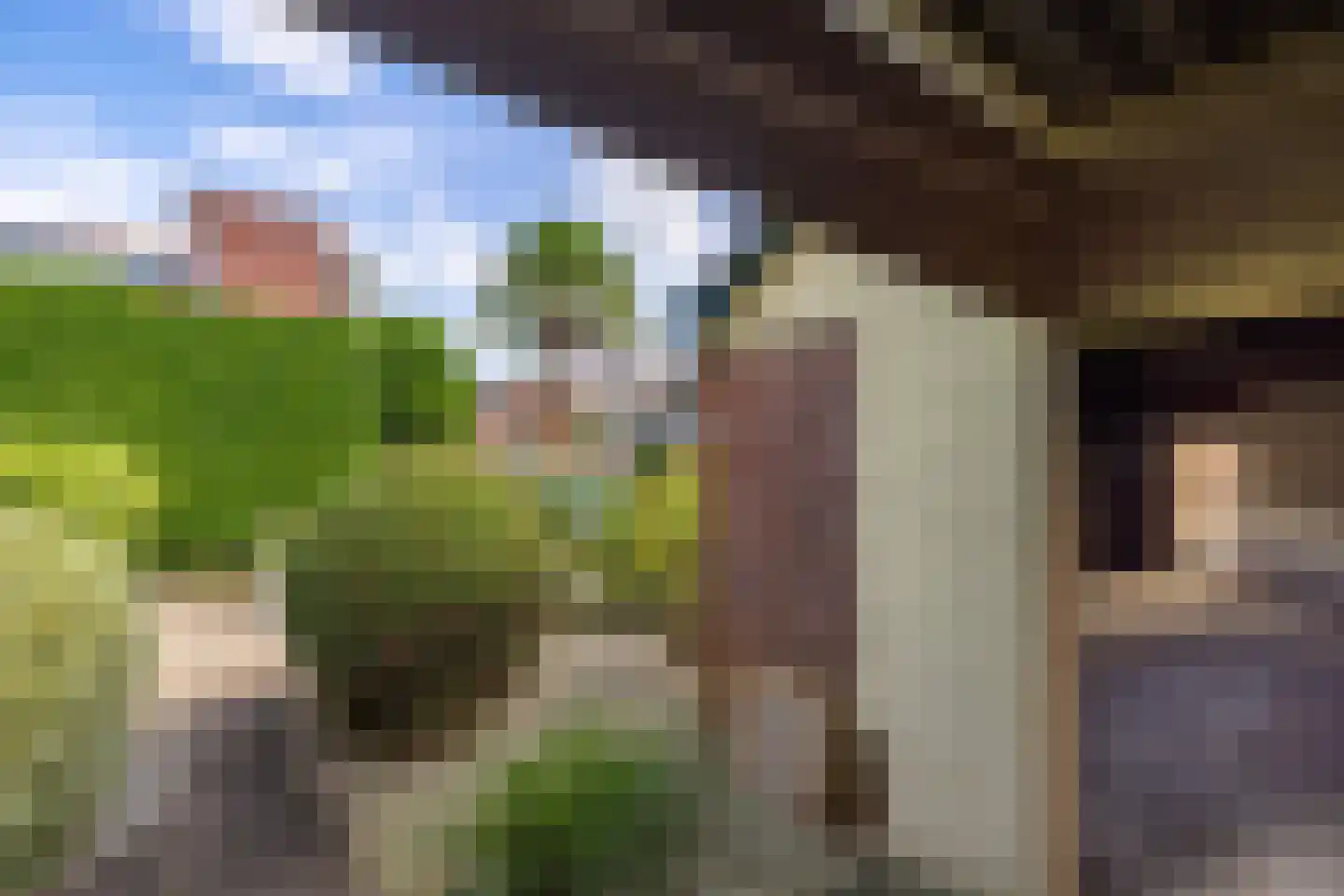Julianastraat 8 Wehl thumbnail 27