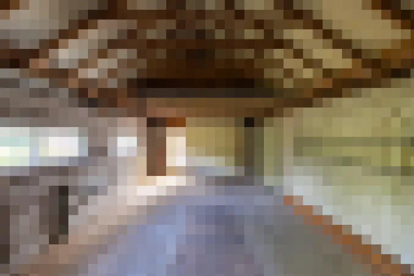 Julianastraat 8 Wehl thumbnail 28